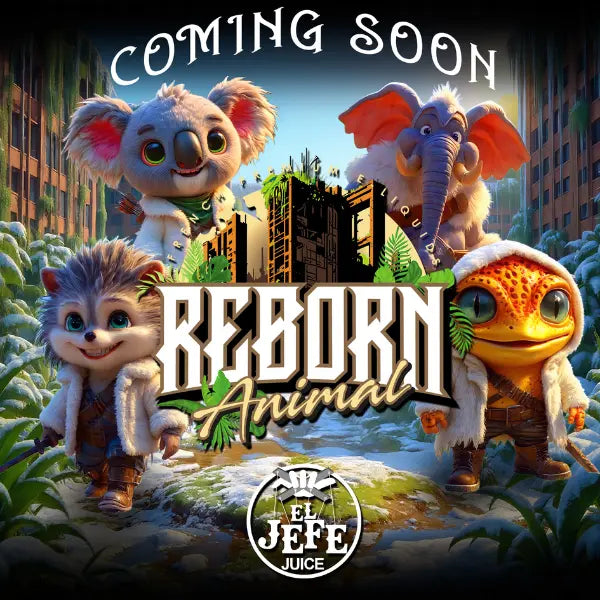 banniere mobile revolt vape | e-liquide Reborn animal