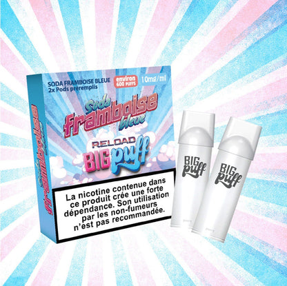 Cartouches prêt à vaper Big puff reload (Pack x2) green village